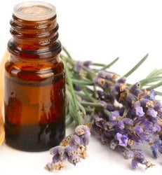 Lavender Oil (10ml) - 薰衣草精油 Acupuncture Supply Wholesale
