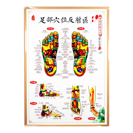 Foot Reflexology Chart - 30