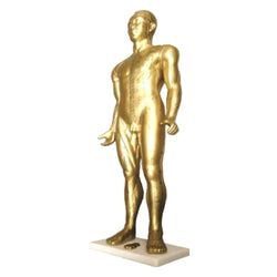 Acupuncture Human Model - 33