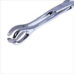 Slotted Mini-Tongue Forcep (No Lock) MYCO IMPORTS, INC.