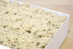 #4 WABBO Direct Moxa -