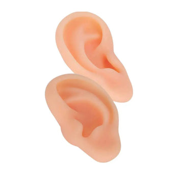 Training Ear Model (Silicone Material) 硅胶施针耳模 Acupuncture Supply Wholesale