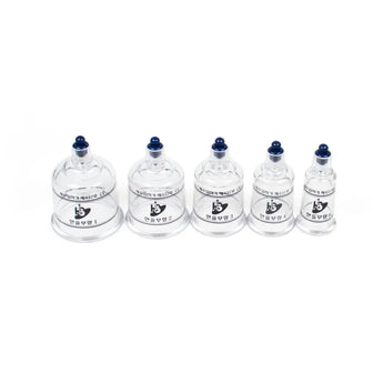 Hansol Boilable Replacement Cups Acupuncture Supply Wholesale