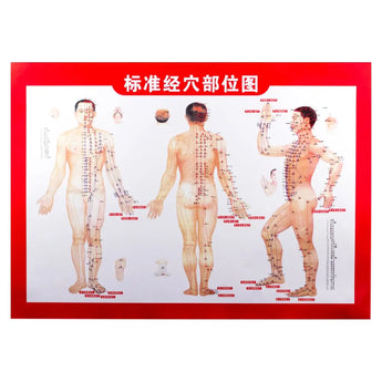 Body Chart - 17