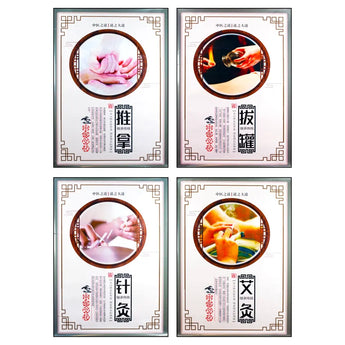 Acupuncture Wall Charts - Full Set 针灸装饰挂图 Acupuncture Supply Wholesale