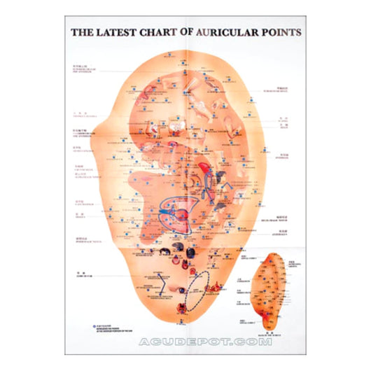 The Latest Chart of Auricular Points