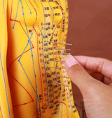 Human Acupuncture Model (Male) - 20" Tall C/EN 男性人体穴位模型
