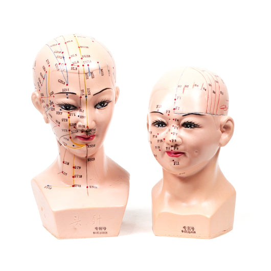 Female Head Set (2 Pieces/Set) 头模-2个