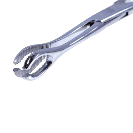 Slotted Tongue Forceps (No Lock)